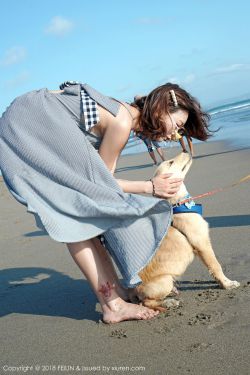 麦香电视剧